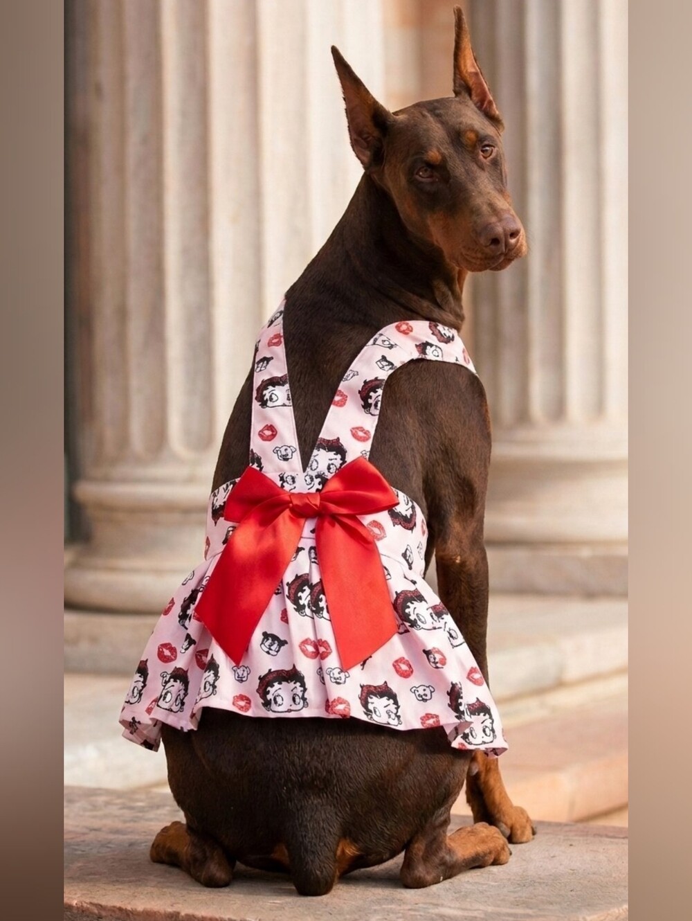Betty Boop Pink & Red Dog Dress with Bow
